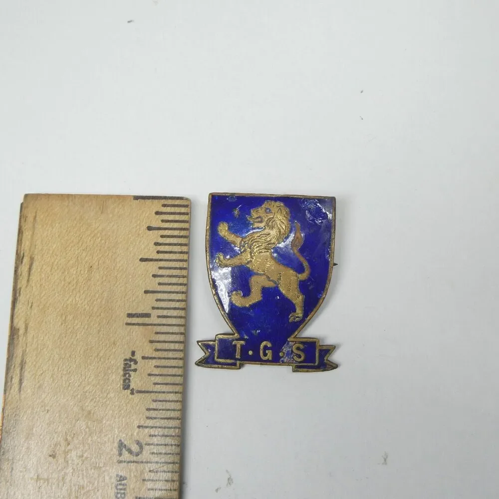 TGS Takapuna Grammar School New Zealand Lion Shield Pin Blue Enamel Vintage